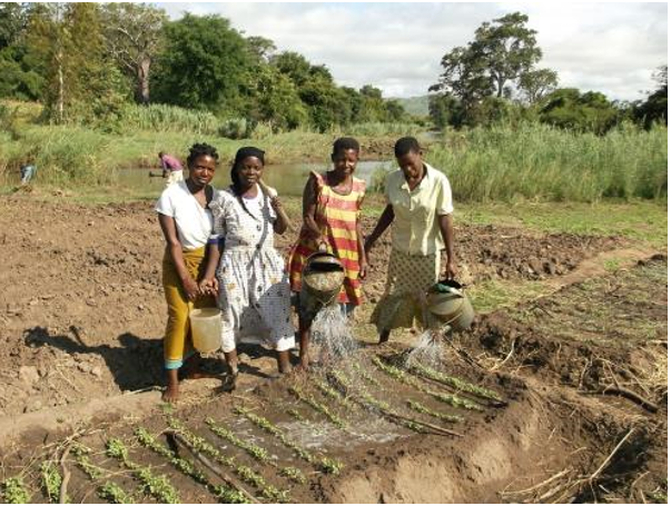Afrique-Malawi-655N